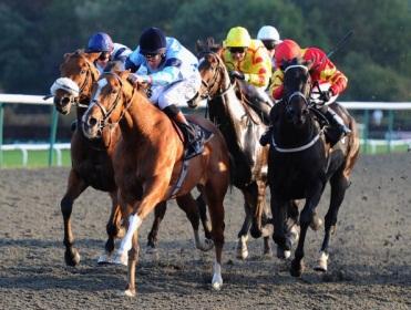 Timeform examine the in-running angles at Lingfield